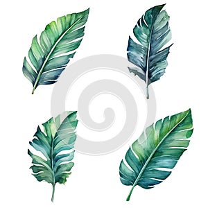 Watercolor leaves set, Tropical collection of jungle green plants. Generative AI