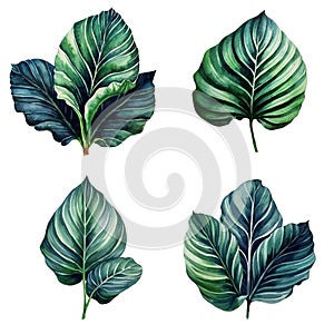 Watercolor leaves set, Tropical collection of jungle green plants. Generative AI