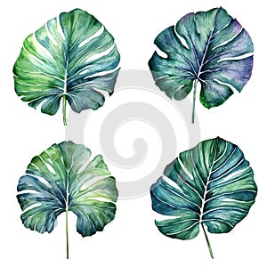 Watercolor leaves set, Tropical collection of jungle green plants. Generative AI