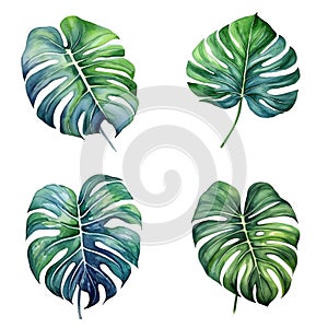 Watercolor leaves set, Tropical collection of jungle green plants. Generative AI