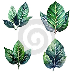 Watercolor leaves set, Tropical collection of jungle green plants. Generative AI