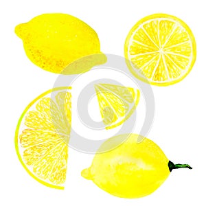 Watercolor lemon set juicy fruit and lemon slice isolated on white background. Hand painted food illustration Design