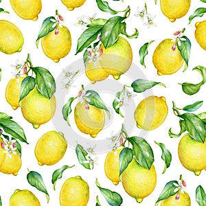 Watercolor lemon tree branches. Seamless pattern.