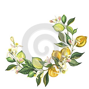Watercolor lemon wreath branch with leaves, lemons, lime and flowers. Hand painted fresh yellow and green fruits, pink