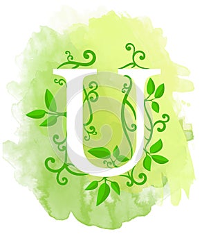 Watercolor letter calligraphy on watercolor background. Natural elements leaves curls design an element for web poster typographic