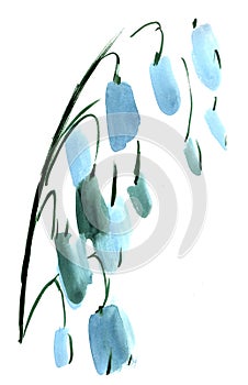 Watercolor Lily of the valley flowers impression painting