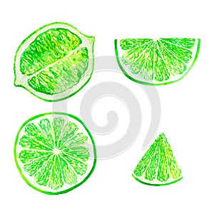 Watercolor lime set juicy fruit and lime slice isolated on white background. Hand painted food illustration Design