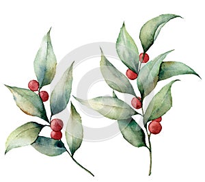 Watercolor lingonberry with berries. Hand painted floral illustration with leaves and branches isolated on white photo