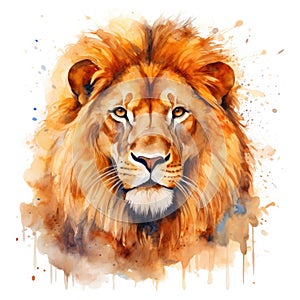 watercolor lion painting Lion King watercolor predator animals wildlife painting