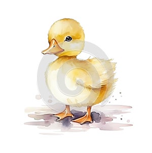 Watercolor little cute duckling isolated on white background