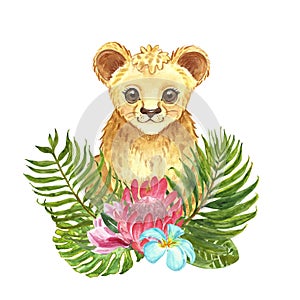 Watercolor little lion with tropical floral bouquet. Cute cartoon lion cub, palm leaves, protea king flower, isolated on white