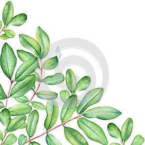 Watercolor lively branches with green leaves