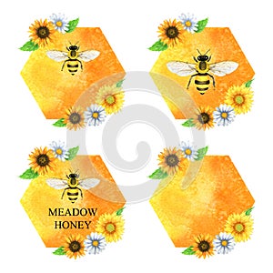 Watercolor logos with honeycombs, honey bees and sunflowers, Watercolor texture