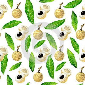 Watercolor longan seamless pattern. Longan fruit. Hand drawn tropical illustration isolated on white background.