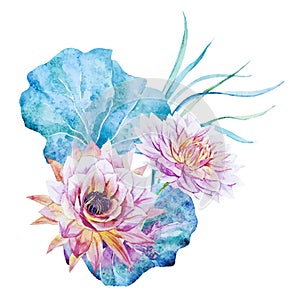 Watercolor lotus