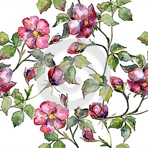 Watercolor magenta bouquet of wild roses flowers. Floral botanical flower. Seamless background pattern.