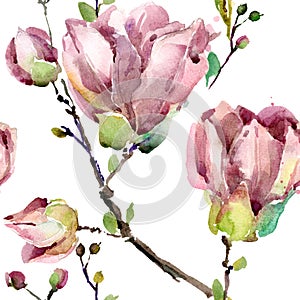 Magnolia branch watercolor photo