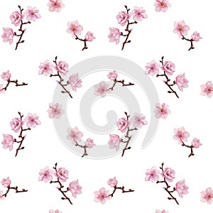Watercolor magnolia seamless pattern, pink glowers background, magnolia wallpaper, wrapping paper, spring pattern design