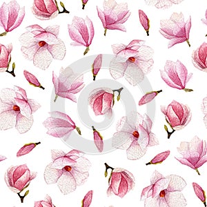 Watercolor magnolia seamless pattern on white background. Hand d