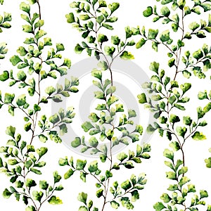 Watercolor maidenhair fern leaves seamless pattern. Hand painted fern ornament. Floral illustration on white background.
