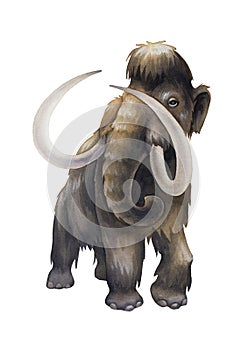 Watercolor mammoth in it's fron view isolated on white background