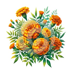 watercolor of Marigold flower bouquet and greenery leaves clipar