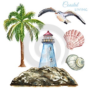 Watercolor marine nautical illustration. Set of beach elements- lighthouse, palm tree, seashells, seagull, isolated. Summer