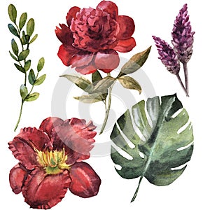 Watercolor maroon flower set