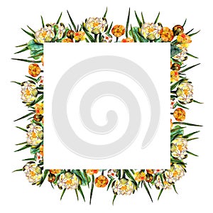 Watercolor marsh plants and herbs decorative ornament frame of white and yellow lilies