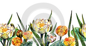 Watercolor marsh plants and herbs decorative ornament of white and yellow lilies