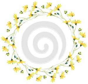 Watercolor Meadow Flower Wreath with Dandelion. Floral Border with summer flowers