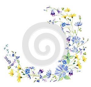 Watercolor Meadow Flower Wreath. Floral Border with summer flowers