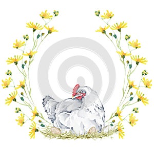 Watercolor Meadow Flower Wreath with Hen. Floral Border with summer flowers