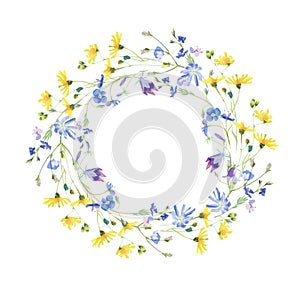 Watercolor Meadow Flower Wreath with Spring flowers. Floral Border with summer flowers