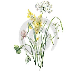 Watercolor meadow flowers bouquet of bedstraw, clover and capsella. Hand painted floral poster of wildflowers isolated