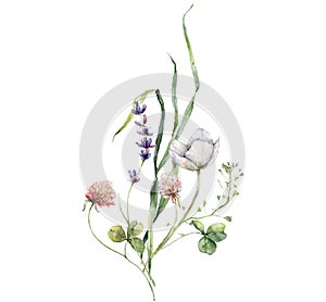 Watercolor meadow flowers bouquet of clover, buttercup and capsella. Hand painted floral poster of wildflowers isolated