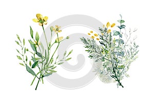 Watercolor meadow flowers bouquet eucalyptus, sage, grass. Hand painted field floral design of field wildflowers  isolated