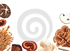 Watercolor medicinal mushroom frame, adaptogenic plant. Hand-drawn illustration isolated on white background. Perfect