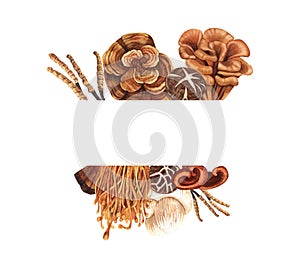 Watercolor medicinal mushroom frame, adaptogenic plant. Hand-drawn illustration isolated on white background. Perfect