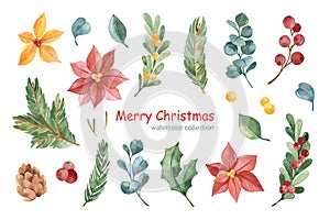 Watercolor Merry Christmas floral elements.Set with branches,leaves,berries,holly and poinsettia