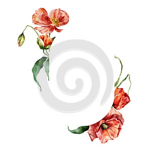 Watercolor minimalistic oval frame of red poppies. Hand painted floral illustration isolated on white background. For