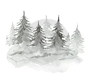 Watercolor misty pale gray fir forest illustration