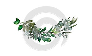 Watercolor modern decorative element. Eucalyptus round Green leaf Wreath, greenery branches, garland, border, frame, elegant