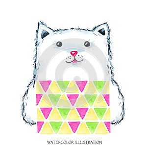 Watercolor modern Kitty in bright wear. Cute animal. Cat. Children cartoon illustration. Can be printed on T-shirts