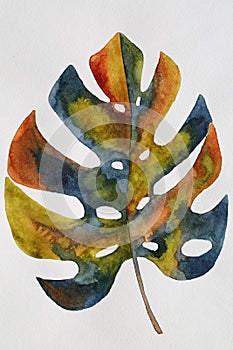 Watercolor monstera leaf