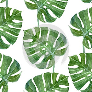 Watercolor monstera leaf seamless pattern