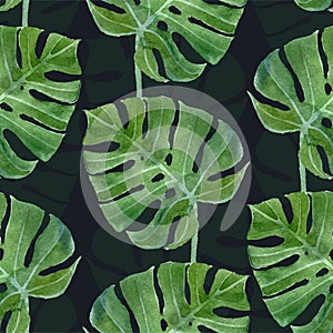 Watercolor monstera leaf seamless pattern