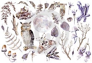 Watercolor mystical collection. Owls, crystal, butterflies, mushrooms and plants.