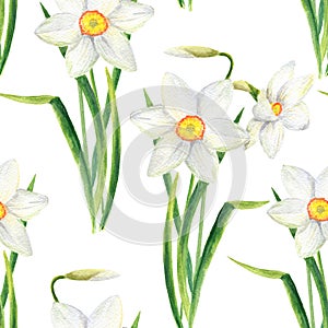 Watercolor narcissus flower seamless pattern. Hand drawn daffodil bouquet illustration isolated on white background