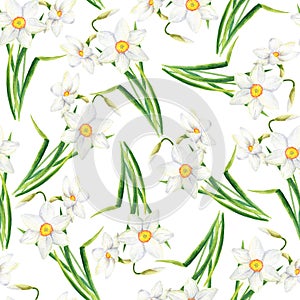 Watercolor Narcissus seamless pattern. Hand painted daffodil flowers isolated on white background. Spring floral